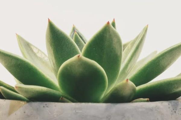 買保險四年退保能退多少錢？退保流程是什么？