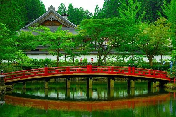 交了八年保險退保怎樣可以退全款？怎么退？