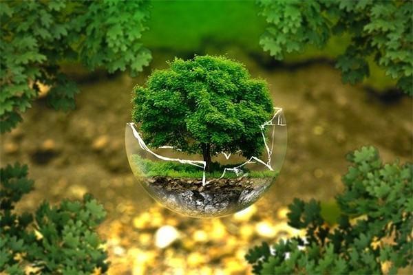 沒(méi)簽合同保險(xiǎn)退保怎樣可以退全款？退保怎么退？