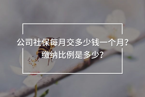 公司社保每月交多少錢一個月