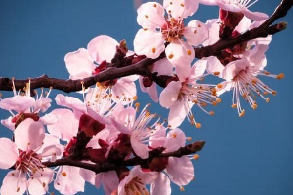 新華保險(xiǎn)退保怎樣可以退全款？注意事項(xiàng)有哪些？