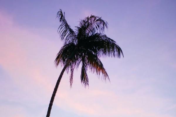 20年期保險中途不交費(fèi)可以退嗎？需要多長時間？