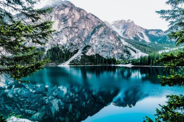 不想投保了,保費(fèi)可以全額退嗎？流程有哪些？