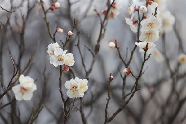 保險(xiǎn)退保打哪個(gè)電話