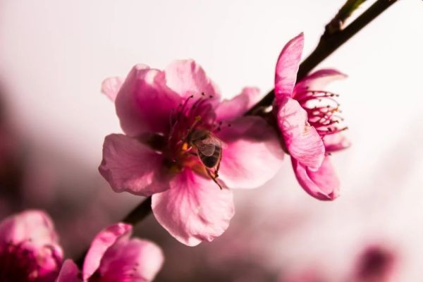 一鍵查詢交強(qiáng)險(xiǎn)怎么查