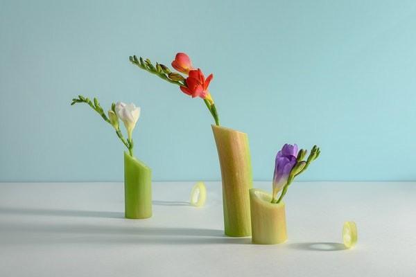 保險(xiǎn)審核未通過可以直接退保嗎