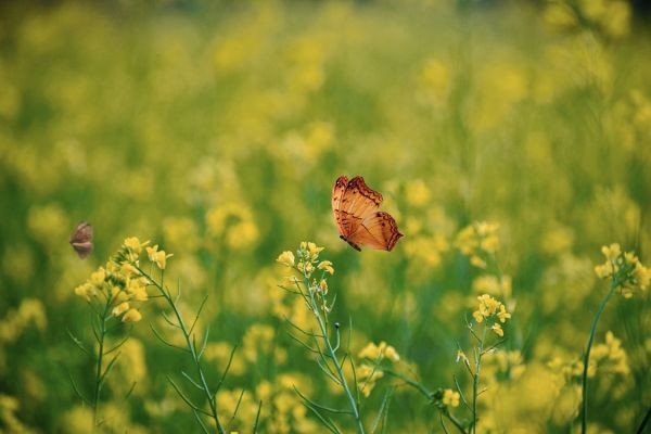 北京個(gè)人補(bǔ)繳社保