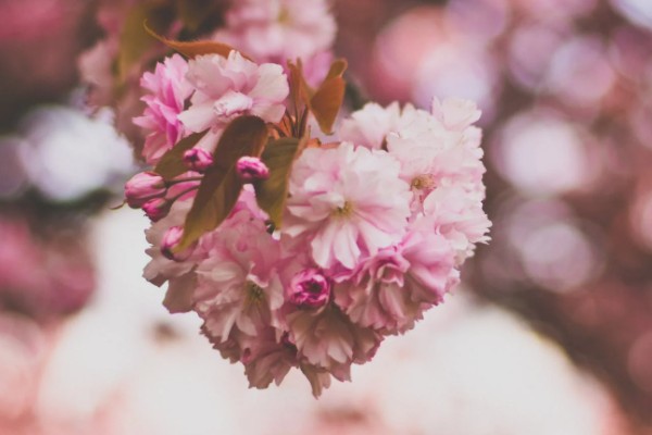 百萬醫(yī)療交費(fèi)按年齡怎么交？一年需要繳納多少保費(fèi)？