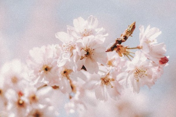平安百萬醫(yī)療保險拒保