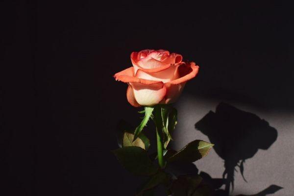 保險代理人員退保的手續(xù)