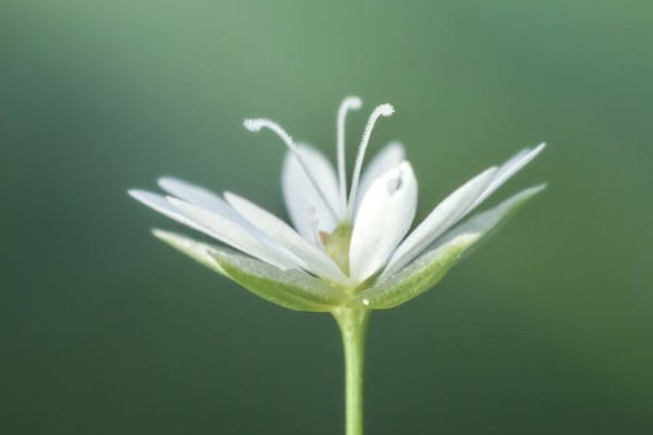 人保百萬(wàn)醫(yī)療保險(xiǎn)續(xù)費(fèi)多少