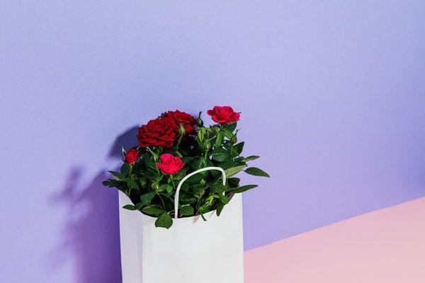 平安福保險(xiǎn)交了5年退保能退多少錢