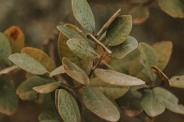 3萬理財險退保會虧多少錢