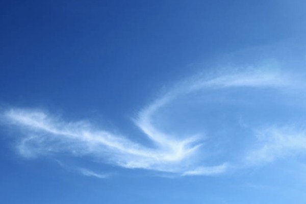 08年的平安保險(xiǎn)退保能退多少