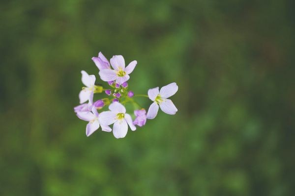 保險(xiǎn)到期該不該退保呢？退保要注意哪些問(wèn)題？