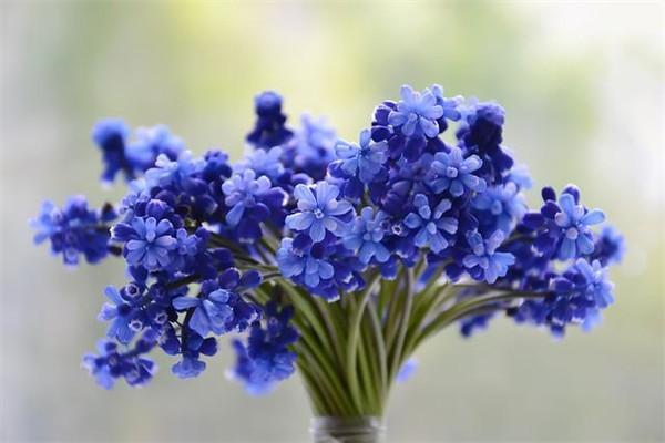 商業(yè)保險退保手續(xù)費合理嗎？能退回多少錢？