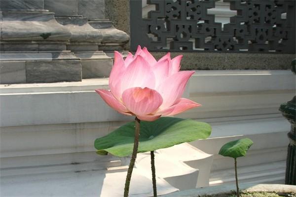辦理的保險(xiǎn)怎么退保