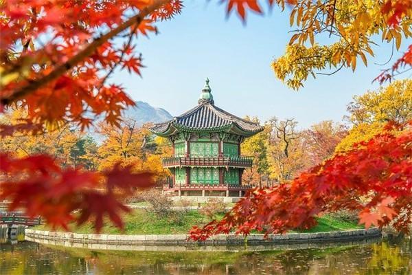 保險不想交了怎么退保？退保能退回多少錢？