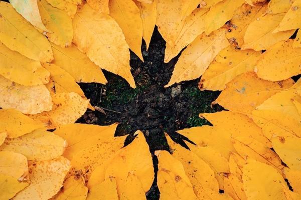 泰康壽險(xiǎn)退保最佳方法是什么？要怎么退？