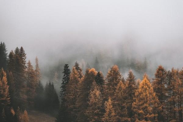 平安兒童百萬醫(yī)療保險介紹