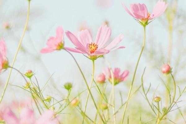 保險提前退保手續(xù)計算方法是什么？手續(xù)費是多少？