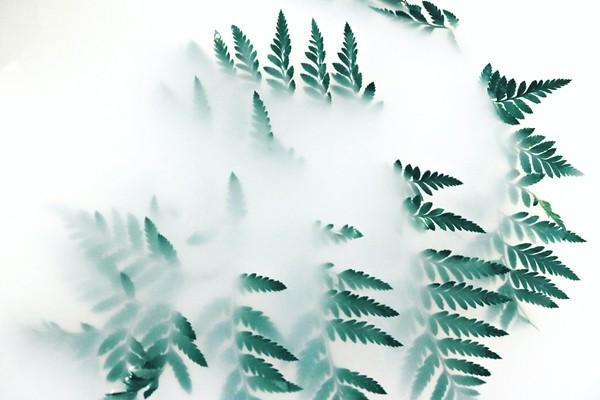 城鎮(zhèn)職工養(yǎng)老保險
