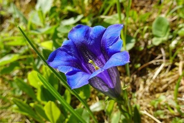 平安百萬醫(yī)療保險理賠范圍
