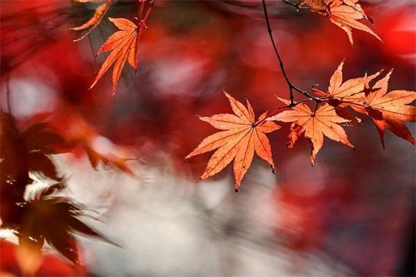水滴保險(xiǎn)退保的方法是什么？退保能退嗎？
