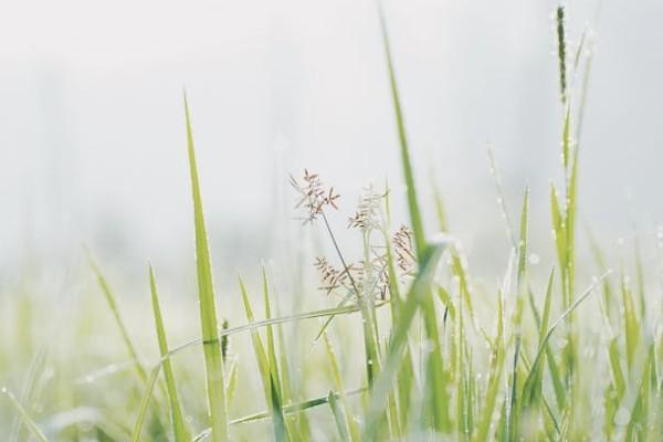 中國人民保險重疾險