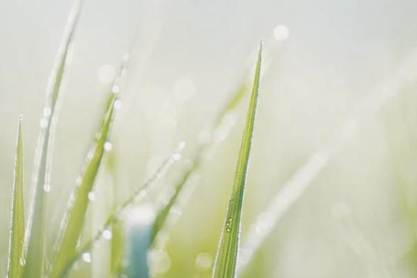 平安百萬(wàn)醫(yī)療保險(xiǎn)怎么在網(wǎng)上買