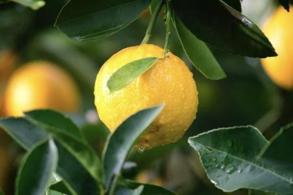 平安百萬醫(yī)療保險險種介紹