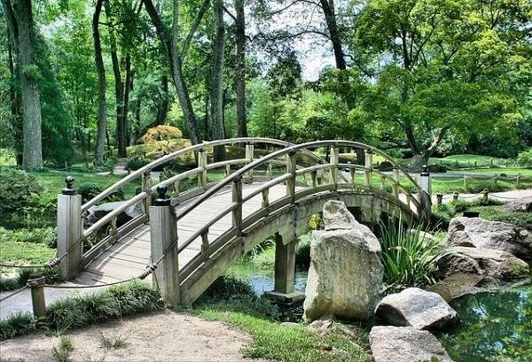 保險(xiǎn)公司不給退保可以不理賠嗎 