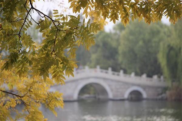 新華保險(xiǎn)退保怎么退按百分之多少退