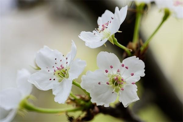 惠蓉保怎么報(bào)保險(xiǎn)