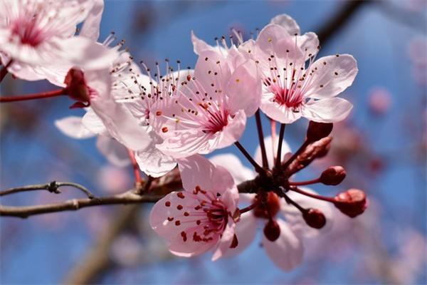 保險(xiǎn)理賠應(yīng)遵循的原則包括什么