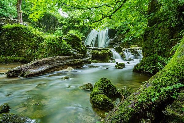 消費(fèi)型重疾險(xiǎn)哪款好