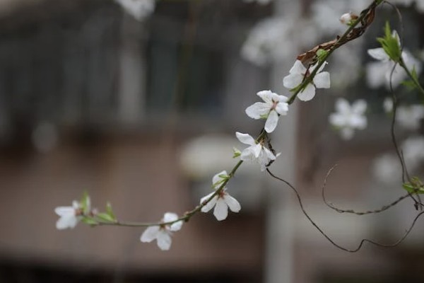 怎么投訴保險(xiǎn)公司最有效
