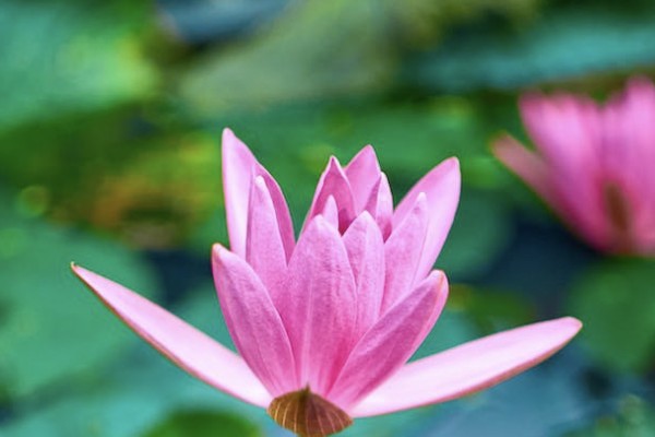 60歲以上老人醫(yī)療保險(xiǎn)一年多少錢(qián)