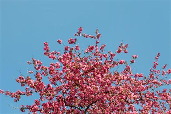 保險(xiǎn)怎么買(mǎi)
