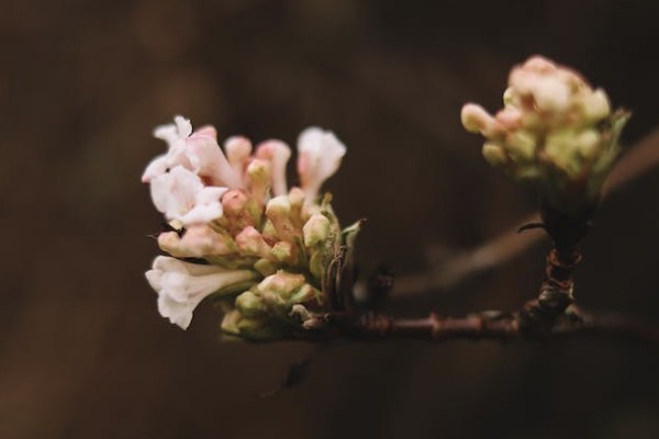 保險(xiǎn)公司理賠完就是結(jié)案了嗎