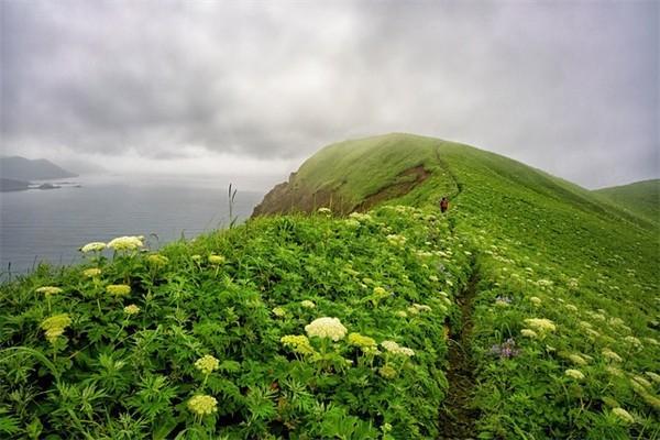 人壽保險(xiǎn)重大疾病險(xiǎn)介紹