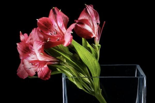 養(yǎng)老保險(xiǎn)繳費(fèi)怎么交