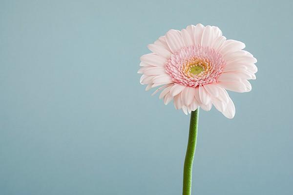 保險(xiǎn)公司不理賠怎么投訴？不成功是什么原因？