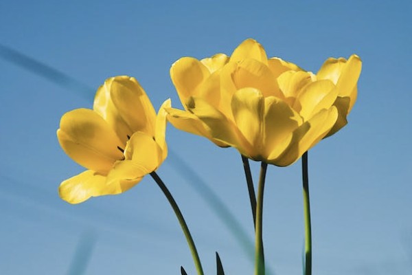 今年的醫(yī)療保險(xiǎn)要交多少錢