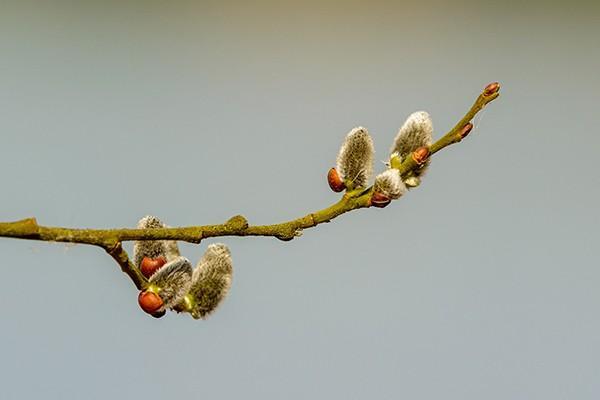 中國人壽分紅型保險(xiǎn)可靠嗎