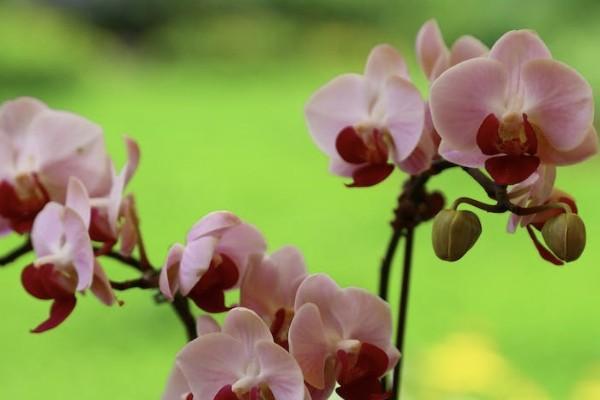 大病保險(xiǎn)怎么買(mǎi)合適