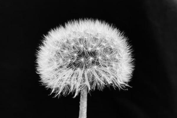 統(tǒng)籌保險不理賠向哪里投訴？不理賠的情況有哪些？
