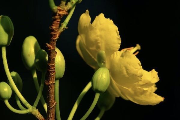 重疾險和醫(yī)療險哪個更值得購買？可以同時理賠嗎？