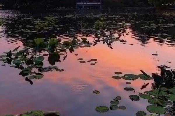 猝死屬于意外險理賠嗎？意外險理賠范圍包括哪些？