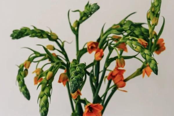 120種重大疾病保險有必要買嗎？買重疾險要注意什么？
